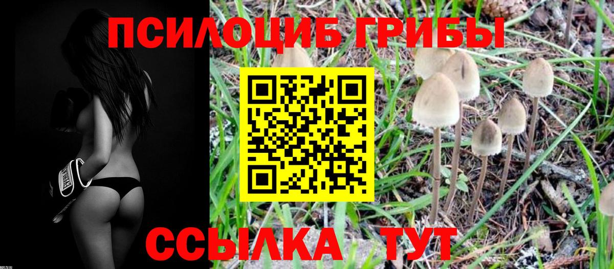 Галлюциногенные грибы MAGIC MUSHROOMS  Вход с VPN  Алексеевка 